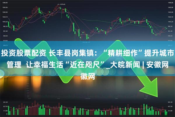 投资股票配资 长丰县岗集镇：“精耕细作”提升城市管理  让幸福生活“近在咫尺”_大皖新闻 | 安徽网